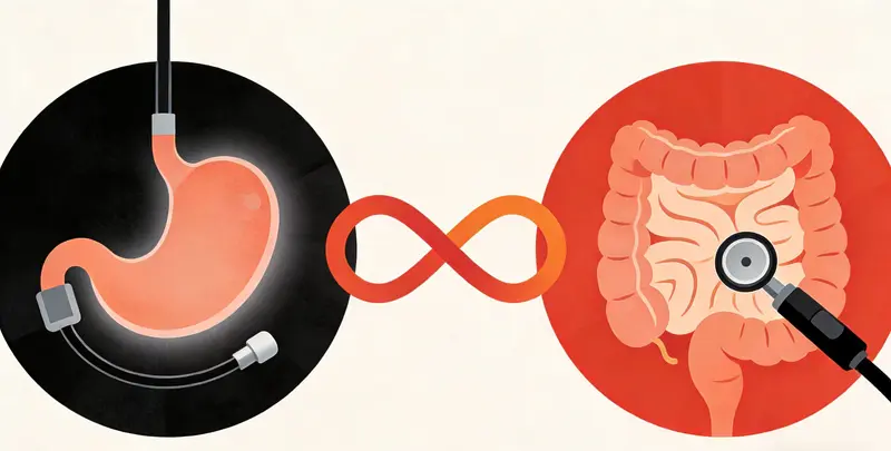 胃癌全面用药基因检测（组织）图4